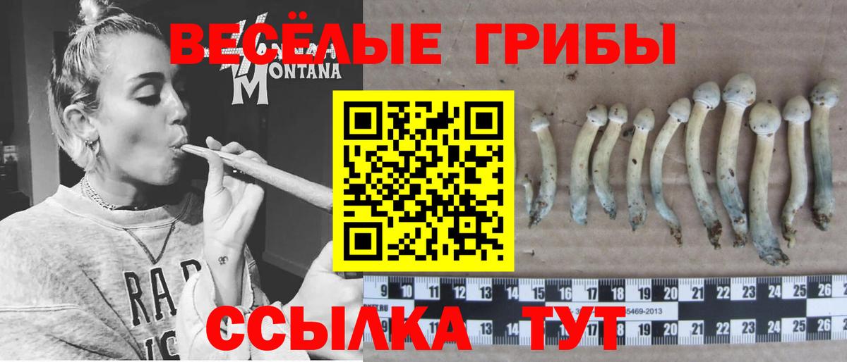 Узловая  Галлюциногенные грибы мухоморы  Вход с VPN  Галлюциногенные грибы Magic Shrooms 